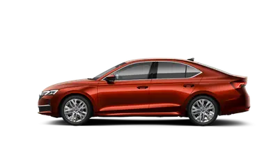 Octavia Top Selection