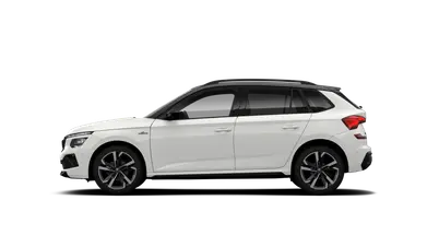 Kamiq Monte Carlo