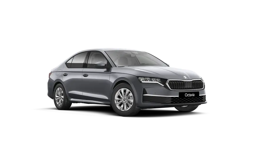 Nová Octavia First Edition