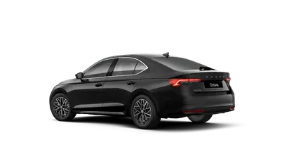 Octavia First Edition