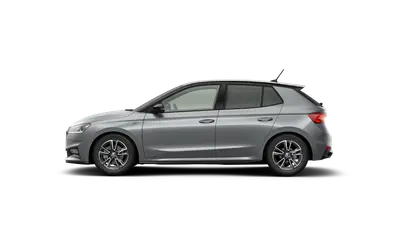 Fabia Monte Carlo