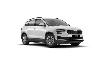 Karoq 130 let