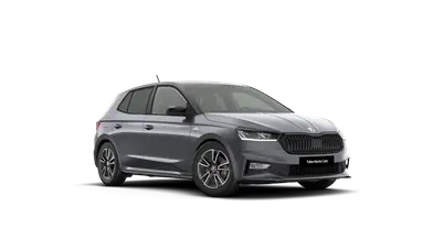 Fabia Monte Carlo