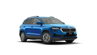 Karoq 130 let