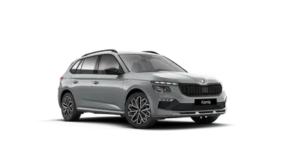 Kamiq Dynamic