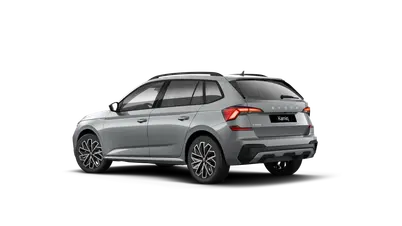 Kamiq Dynamic