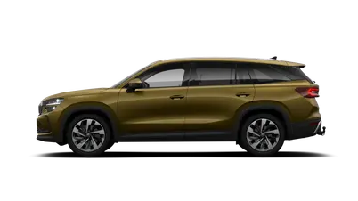 Kodiaq Exclusive Selection
