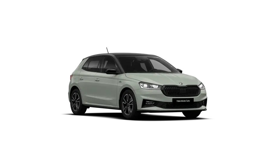 Fabia Monte Carlo