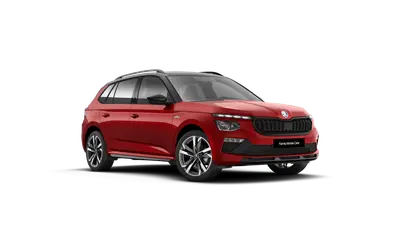 Kamiq Monte Carlo