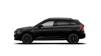 Kamiq Monte Carlo
