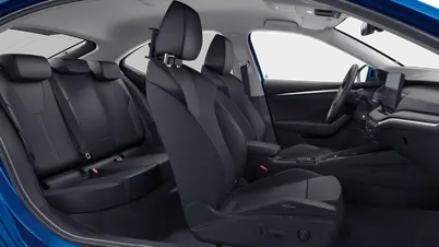 Octavia Exclusive Selection