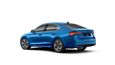 Octavia Exclusive Selection