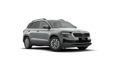 Karoq 130 let