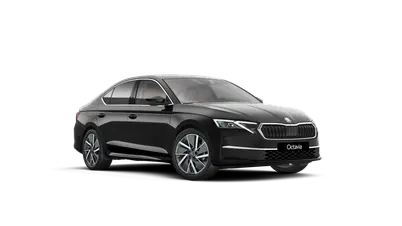 Octavia Exclusive Selection