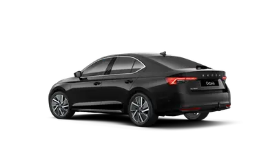 Octavia Exclusive Selection