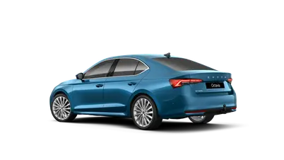 Octavia Exclusive Selection