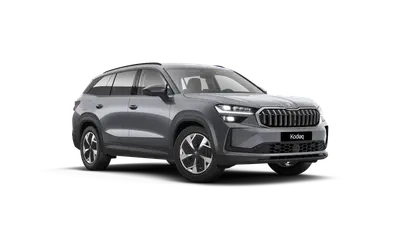 Kodiaq Exclusive Selection