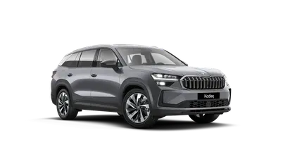 Kodiaq Exclusive Selection