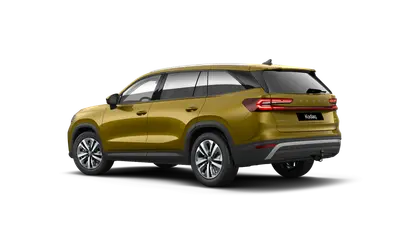 Kodiaq Exclusive Selection