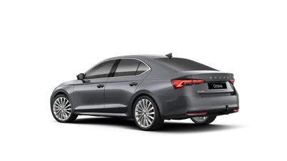 Octavia Exclusive Selection