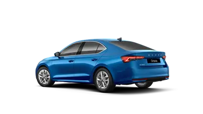 Octavia Top Selection