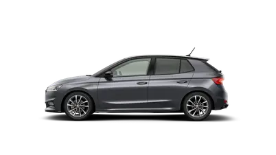 Fabia Monte Carlo