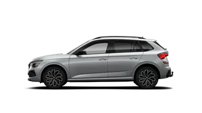 Kamiq Dynamic