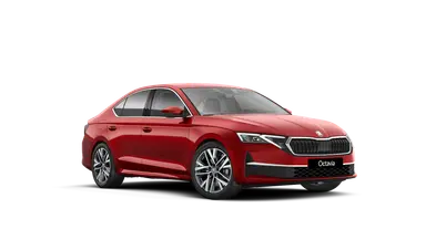 Octavia First Edition Ultimate