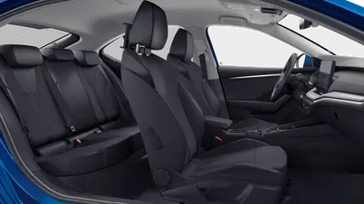 Octavia First Edition