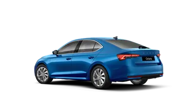 Octavia First Edition