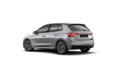Fabia Monte Carlo