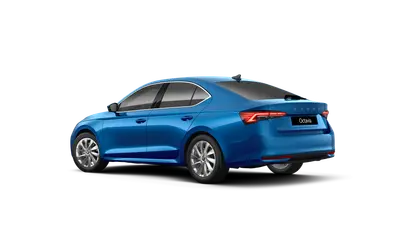 Octavia Top Selection