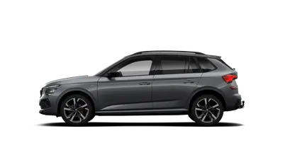 Kamiq Monte Carlo