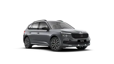 Kamiq Dynamic