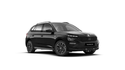 Kamiq Monte Carlo