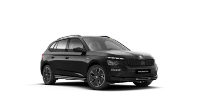 Kamiq Monte Carlo