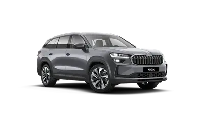 Kodiaq Exclusive Selection