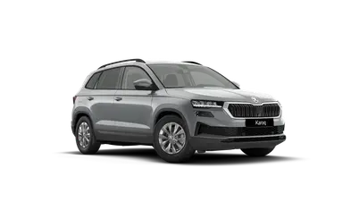Karoq 130 let