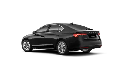 Octavia Top Selection