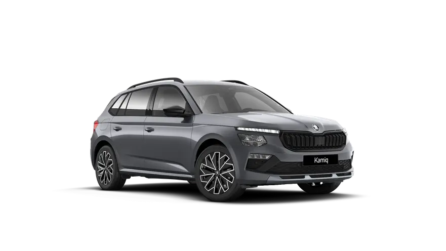 Kamiq Dynamic