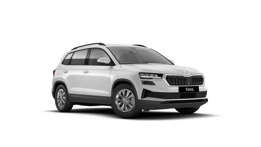 Karoq 130 let