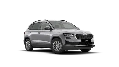 Karoq 130 let