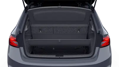 Fabia Monte Carlo