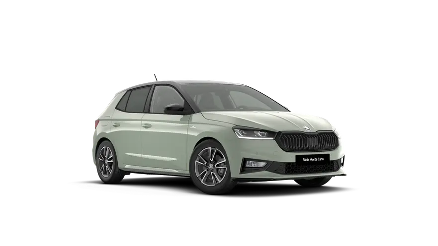 Fabia Monte Carlo