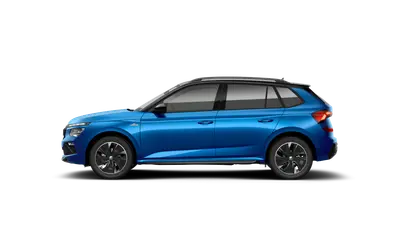 Kamiq Monte Carlo
