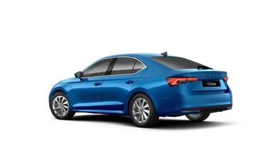 Octavia First Edition