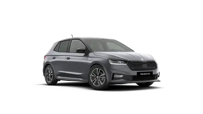 Fabia Monte Carlo