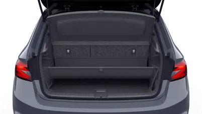 Fabia Monte Carlo