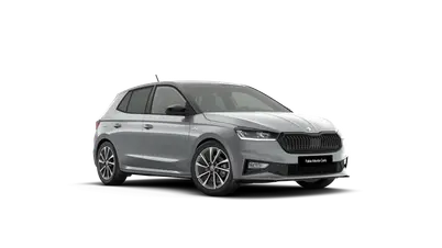 Fabia Monte Carlo