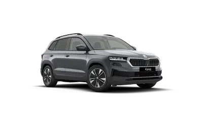 Karoq 130 let